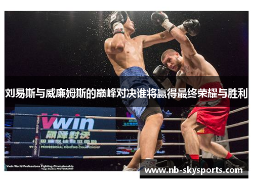 刘易斯与威廉姆斯的巅峰对决谁将赢得最终荣耀与胜利