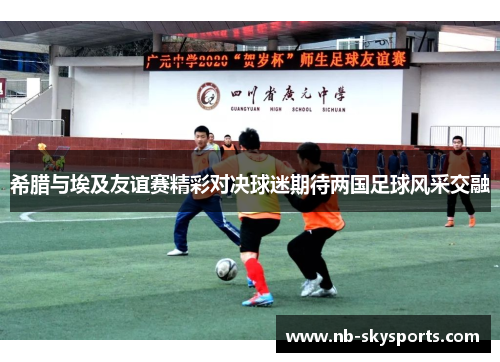 希腊与埃及友谊赛精彩对决球迷期待两国足球风采交融