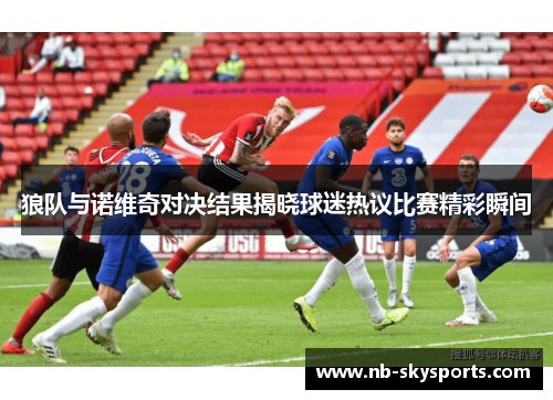狼队与诺维奇对决结果揭晓球迷热议比赛精彩瞬间